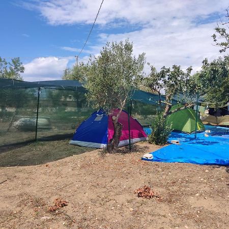 Hotel Aree Tende Presso La Casa In Campagna Di Ottavia Alezio Zewnętrze zdjęcie