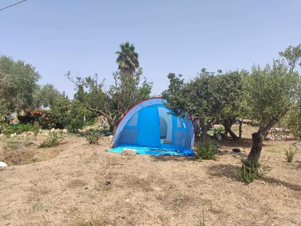 Hotel Aree Tende Presso La Casa In Campagna Di Ottavia Alezio Zewnętrze zdjęcie