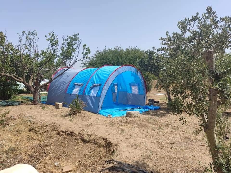 Hotel Aree Tende Presso La Casa In Campagna Di Ottavia Alezio Zewnętrze zdjęcie